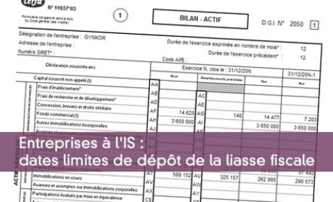 Report du délai de dépôt de déclaration des résultats des entreprises et de l’option pour l’intégration fiscale